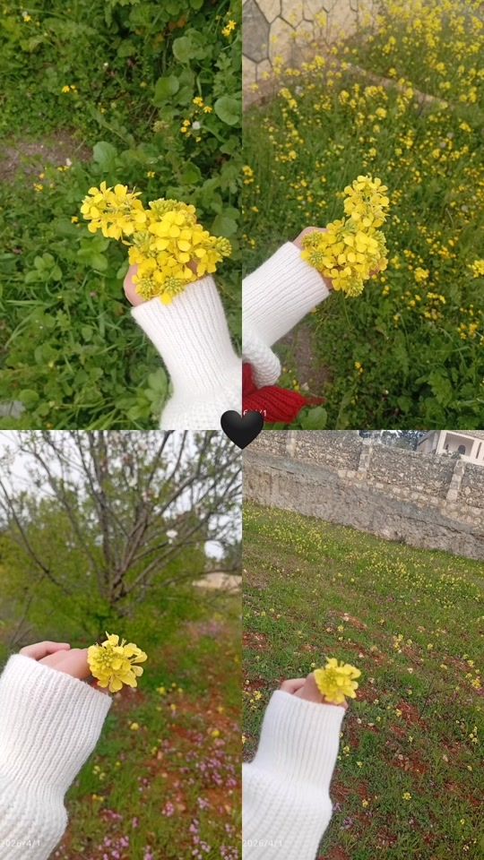 TikTok video thumbnail by cs4s85d6os