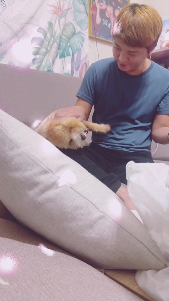 TikTok video thumbnail by yiling_lin