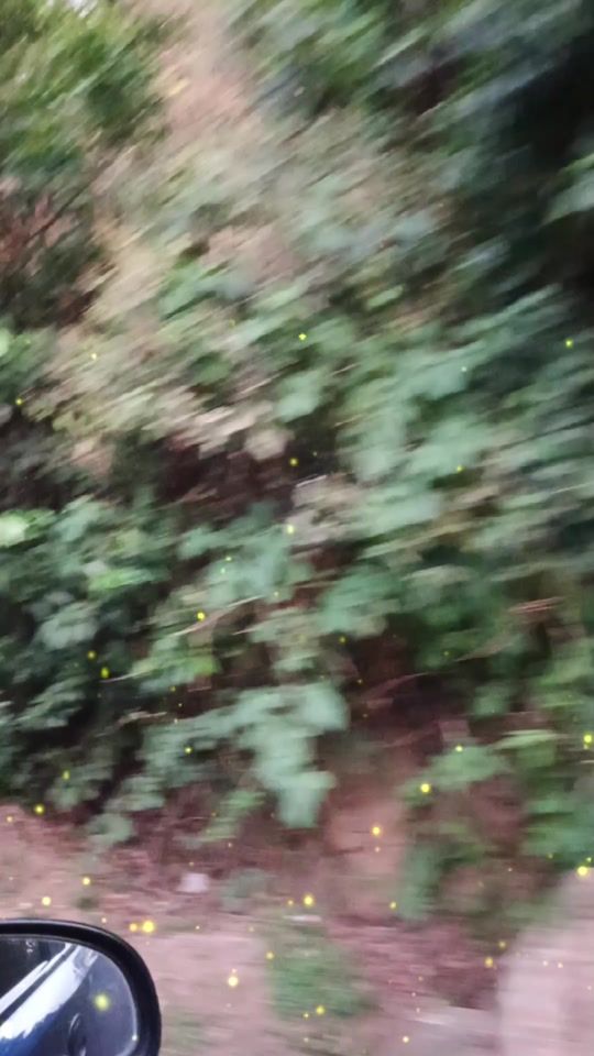 TikTok video thumbnail by sandra28delopez
