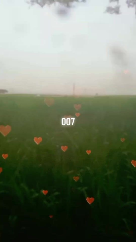 TikTok video thumbnail by dz007007