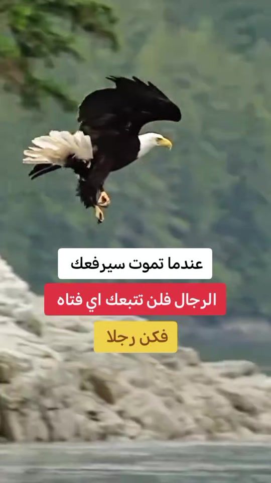 TikTok video thumbnail by the.store039