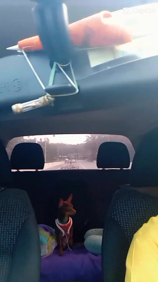 TikTok video thumbnail by tata1979l