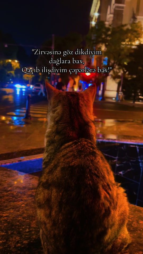 TikTok video thumbnail by cat.boncuk