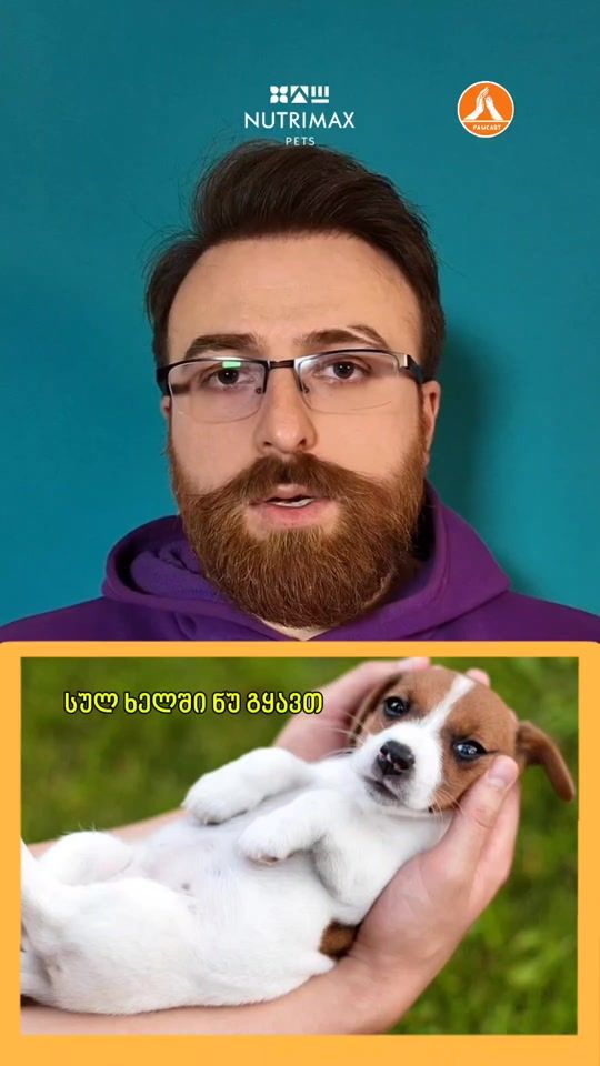 TikTok video thumbnail by pawcast_