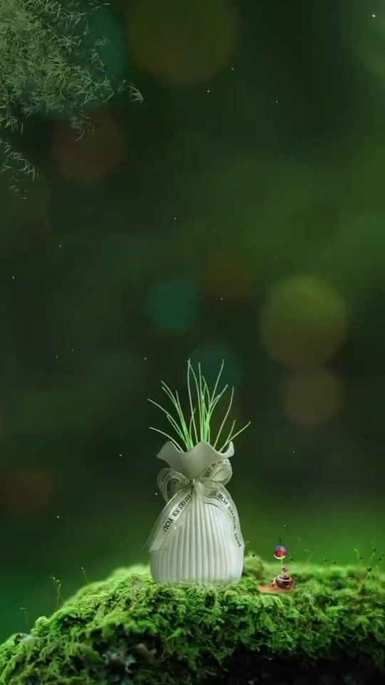 TikTok video thumbnail by lucyderivera2