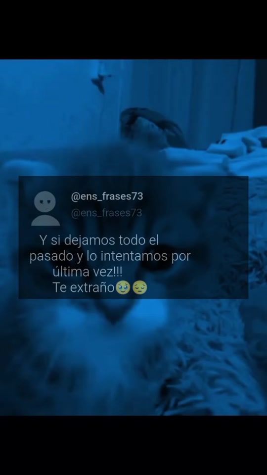 TikTok video thumbnail by ens_frases73
