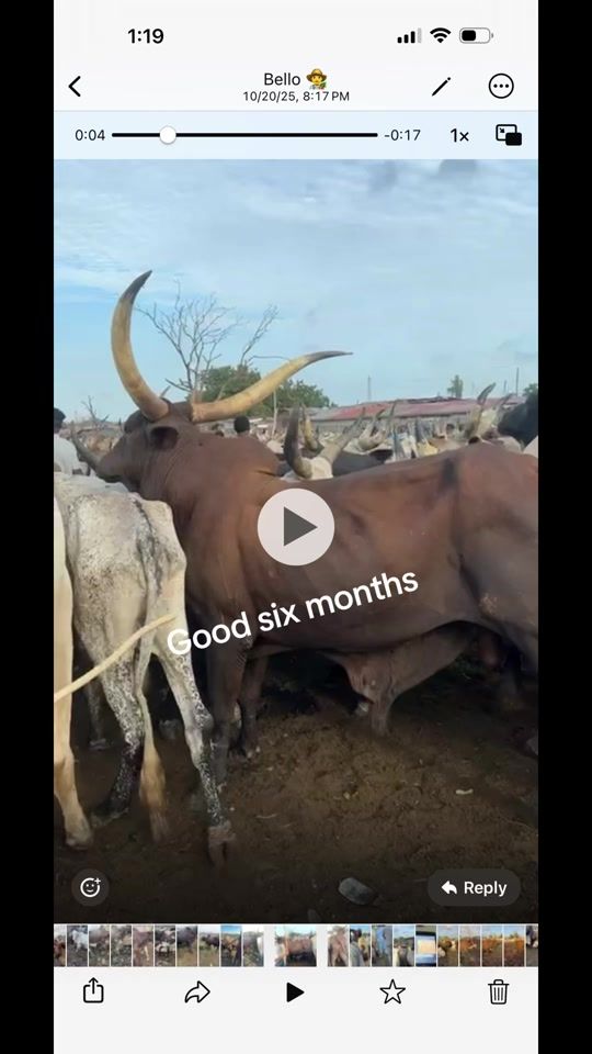 TikTok video thumbnail by hm_farms1