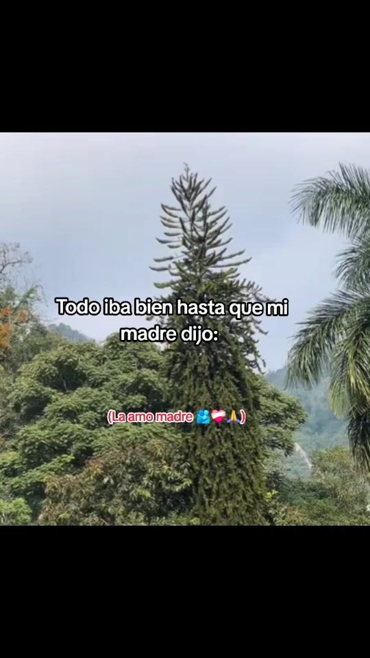 TikTok video thumbnail by joseracz