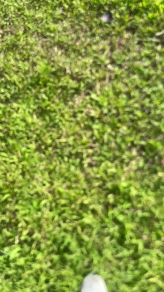 TikTok video thumbnail by juicee_248