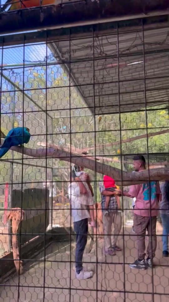 TikTok video thumbnail by thushi______
