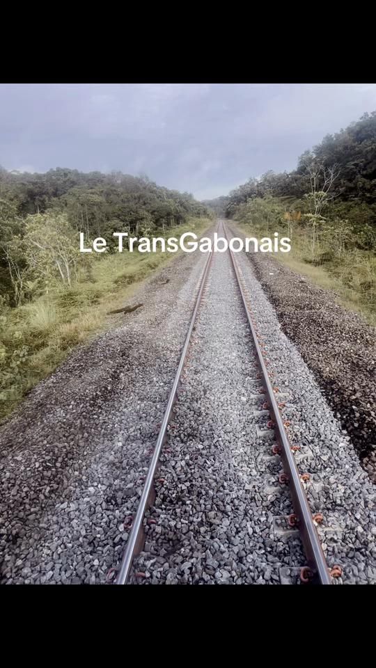 TikTok video thumbnail by ibogalito