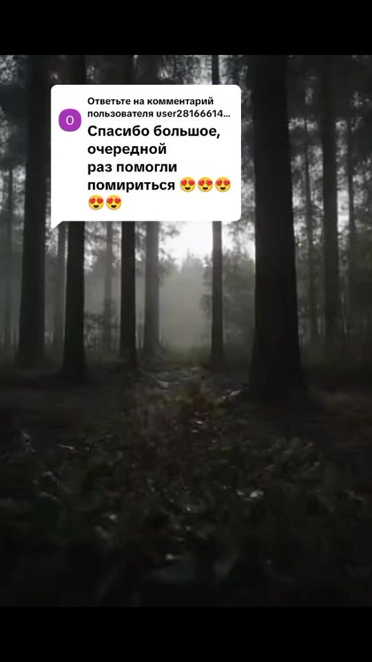 TikTok video thumbnail by annas__dreams