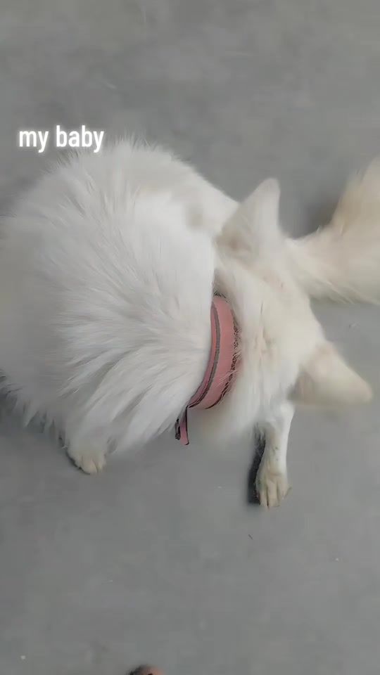 TikTok video thumbnail by call_me_bijay8