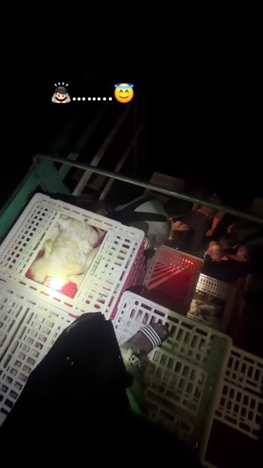 TikTok video thumbnail by kevin__arias__12