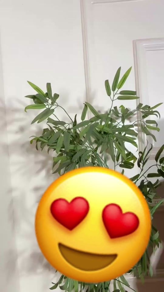 TikTok video thumbnail by dadochoup4