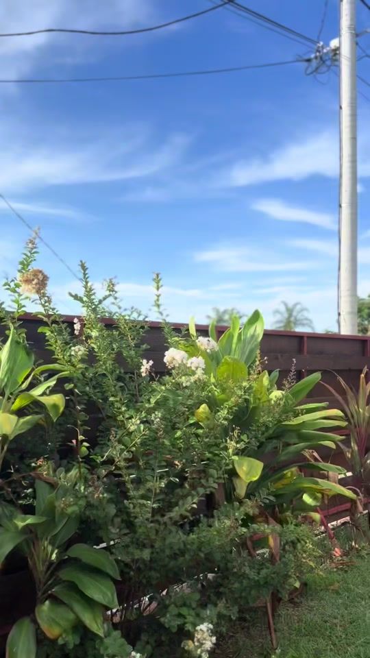 TikTok video thumbnail by ceciliarochet.off