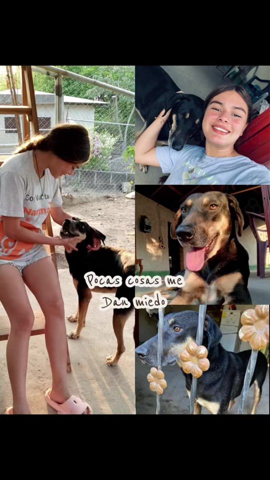 TikTok video thumbnail by danielita8807