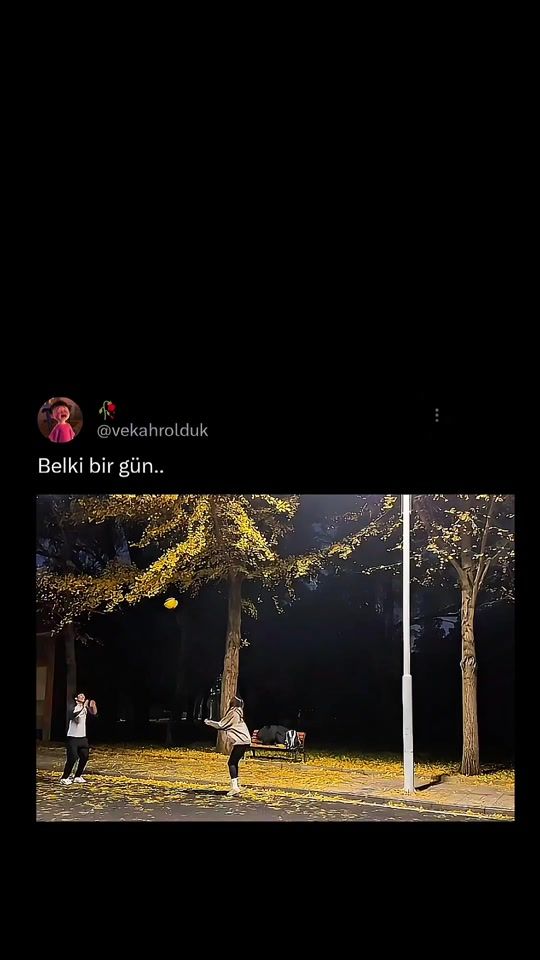 TikTok video thumbnail by ilkbedduam