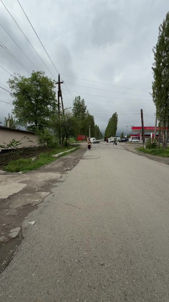 TikTok video thumbnail by dr_zebo