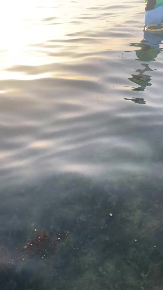 TikTok video thumbnail by hussin_naim