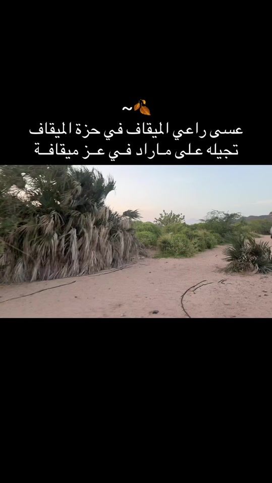 TikTok video thumbnail by hamid_404b