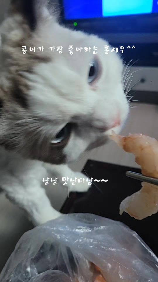TikTok video thumbnail by thswocjf