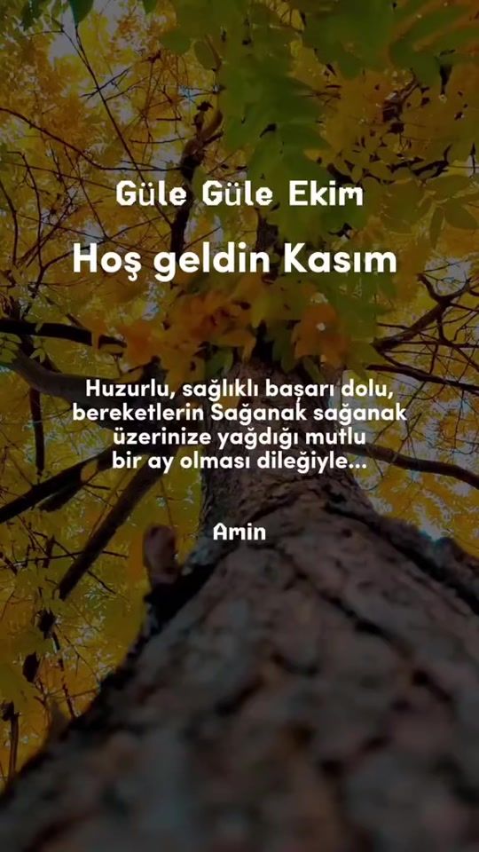 TikTok video thumbnail by islamyolu.27