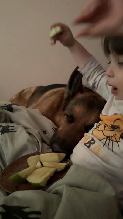 TikTok video thumbnail by samuelandgsd
