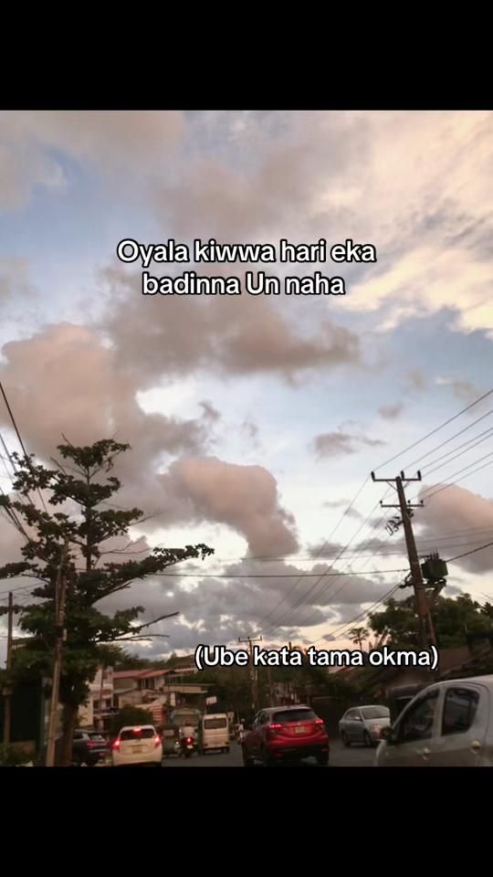 TikTok video thumbnail by hiroshy.yy