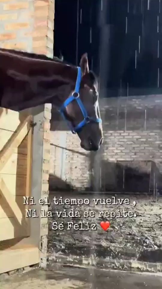 TikTok video thumbnail by reneidelpy