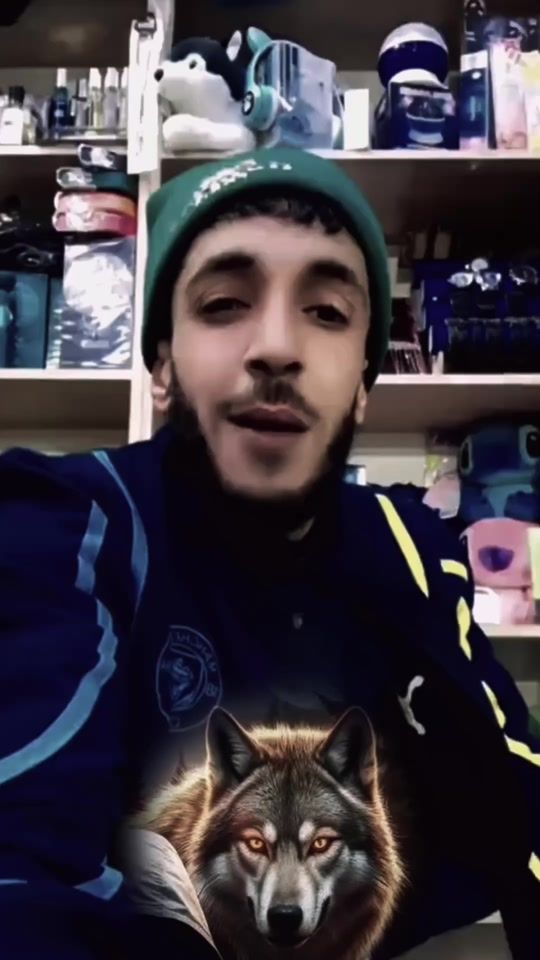 TikTok video thumbnail by thelonewolf23n