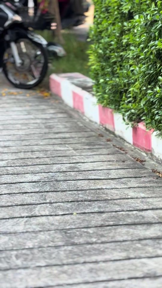 TikTok video thumbnail by saranyu_49