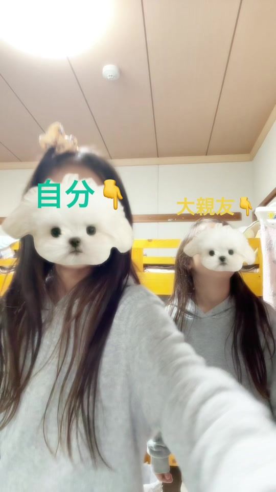 TikTok video thumbnail by saiu_113