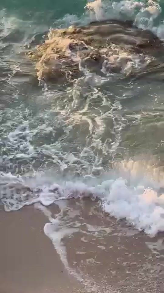 TikTok video thumbnail by royalrealtydr