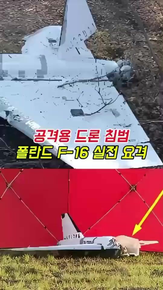 TikTok video thumbnail by ttkim0011