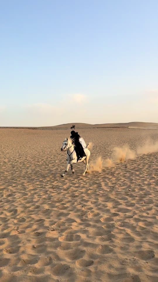 TikTok video thumbnail by basant_allam