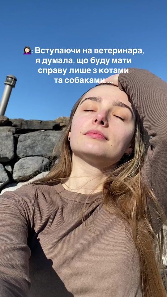 TikTok video thumbnail by vet_kond
