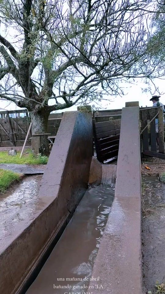 TikTok video thumbnail by martin44___
