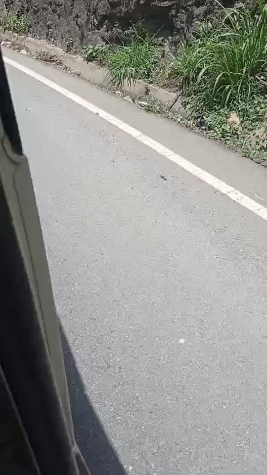 TikTok video thumbnail by walterjosecoc