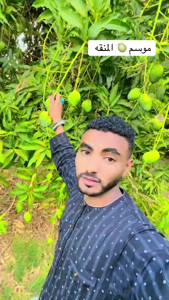 TikTok video thumbnail by falafel552
