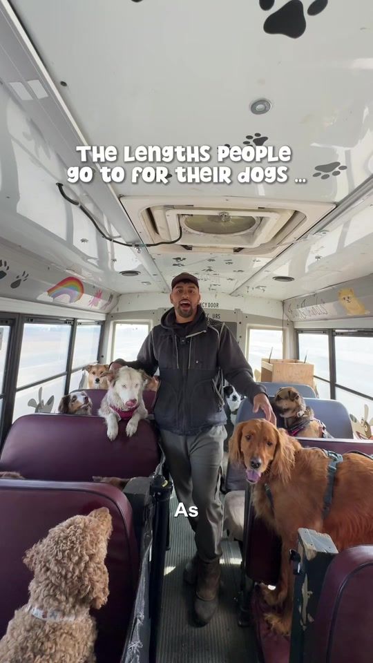 TikTok video thumbnail by ruffandpuffyyc