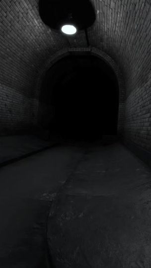 TikTok video thumbnail by roosevan