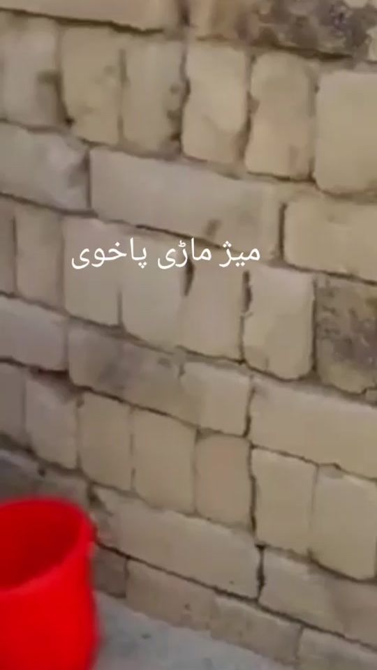TikTok video thumbnail by shenkhali8