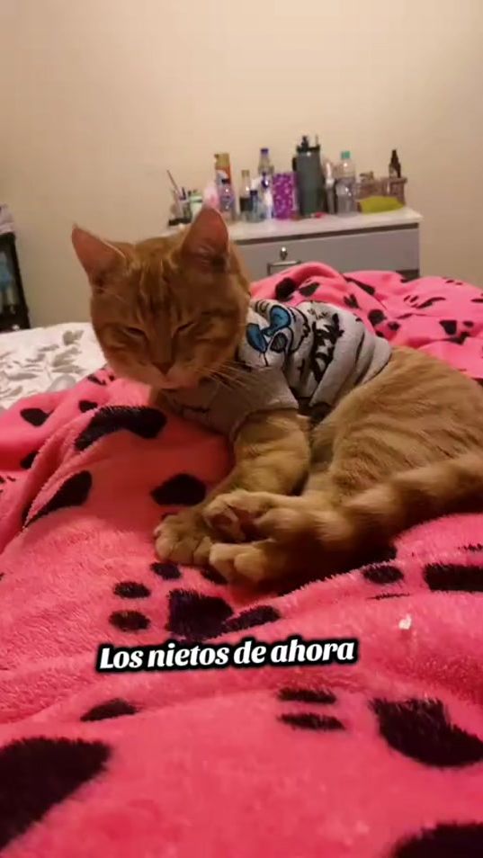 TikTok video thumbnail by profesita_37