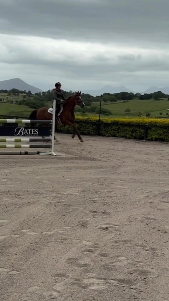 TikTok video thumbnail by charlotte.equestrain