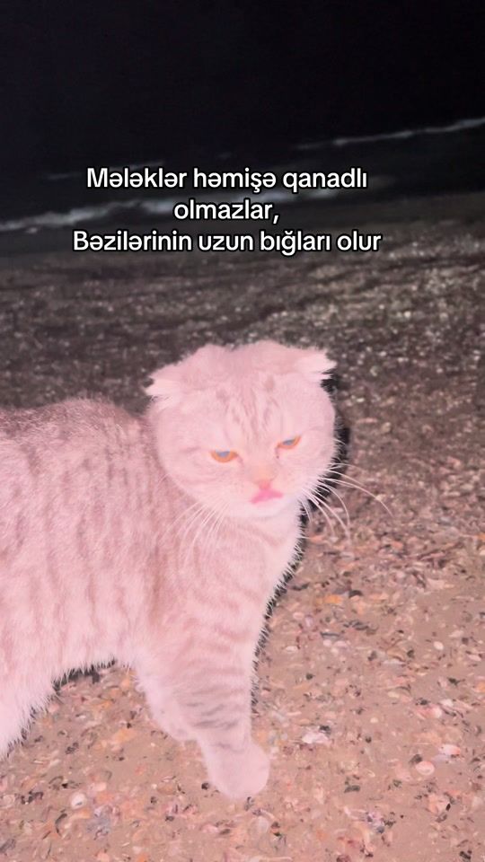 TikTok video thumbnail by mosuliii_
