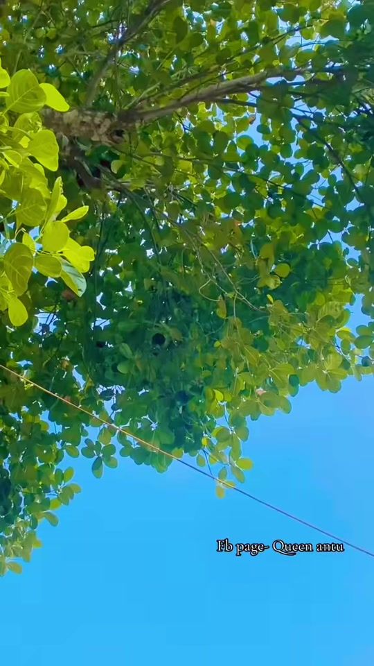 TikTok video thumbnail by antora_mistry