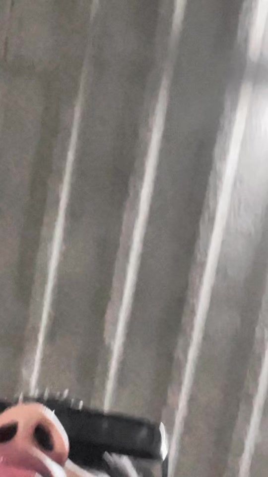 TikTok video thumbnail by henryvallecillo07