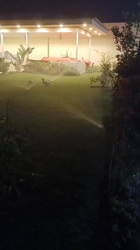 TikTok video thumbnail by user9286165161263