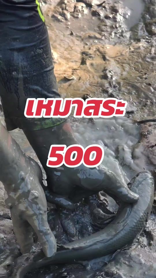 TikTok video thumbnail by rukesaander